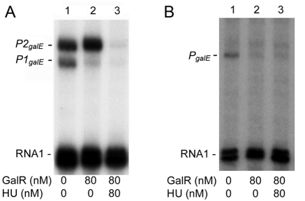 FIG 5 