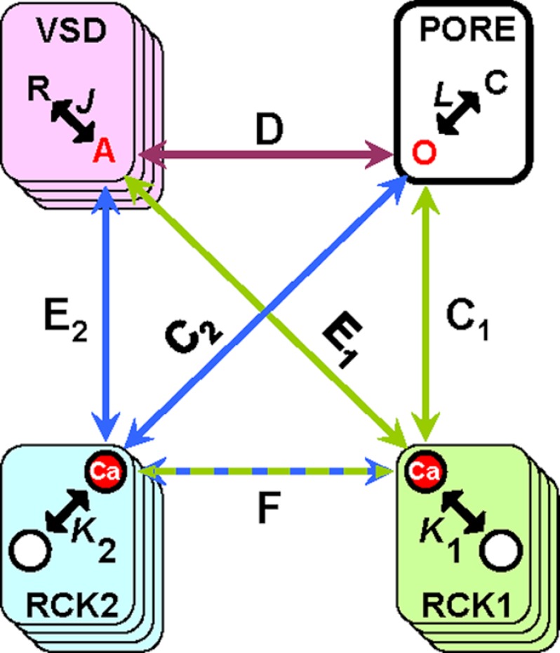 FIGURE 5.