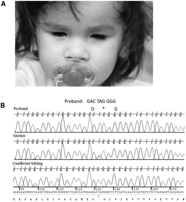 Figure 2.