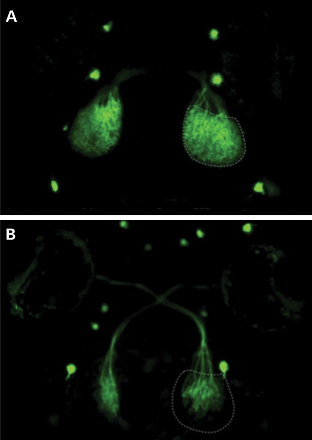 Figure 4.