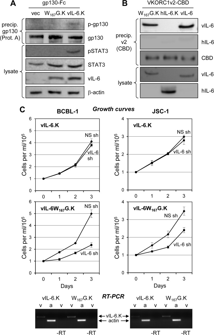 Fig 5