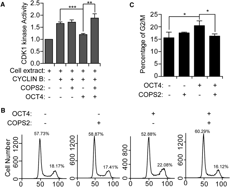 Figure 3