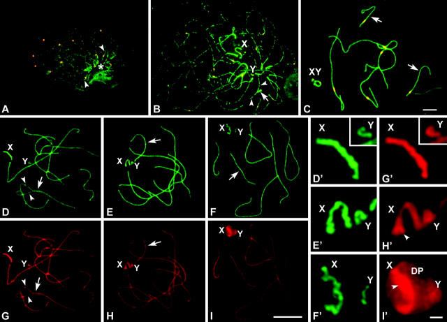 Figure 2.—