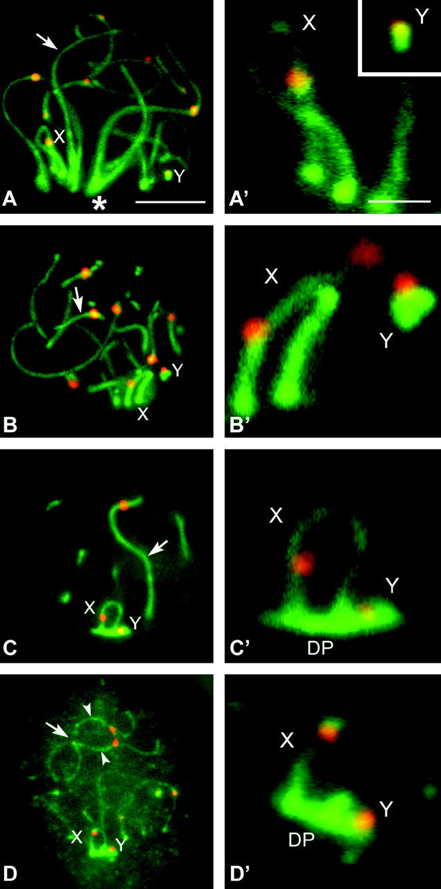 Figure 1.—