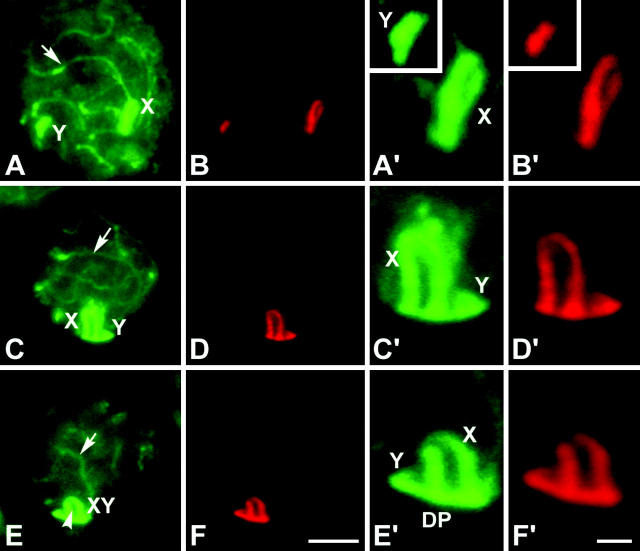 Figure 4.—