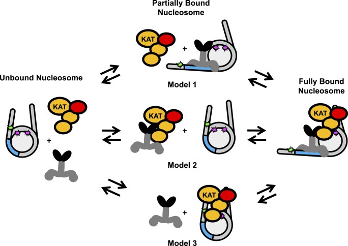 Figure 7.