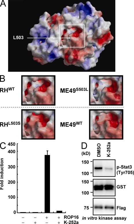 Figure 6.