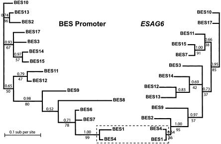 Figure 7.