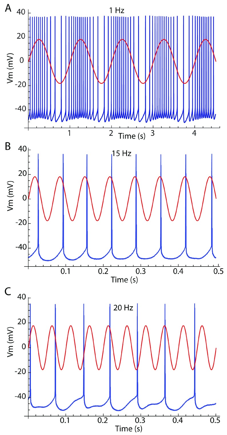 Figure 3. 