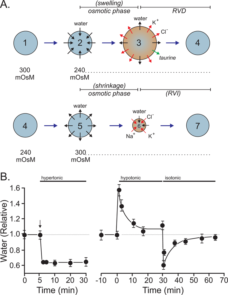 Figure 10.