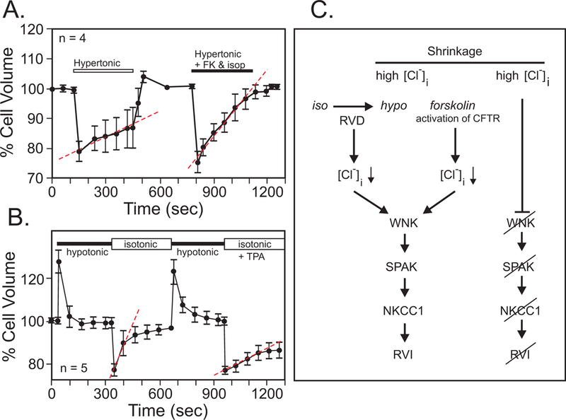 Figure 11.