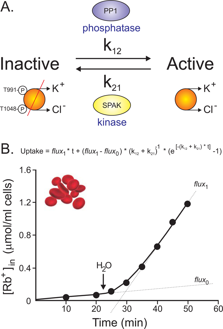 Figure 9.