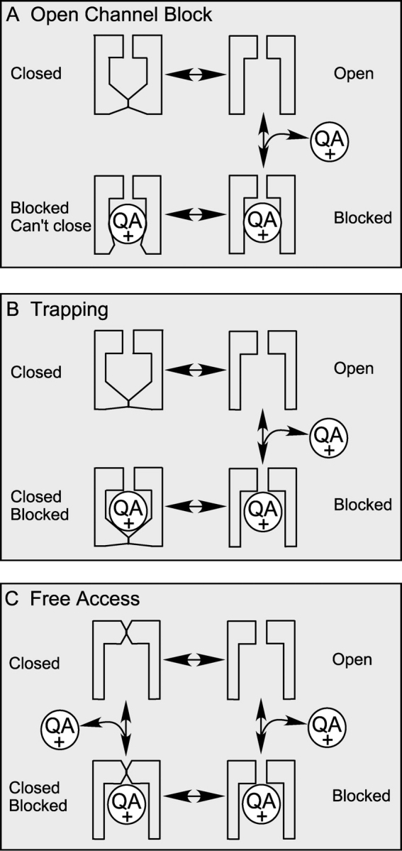 Figure 9. 