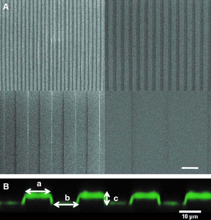 FIG. 3.