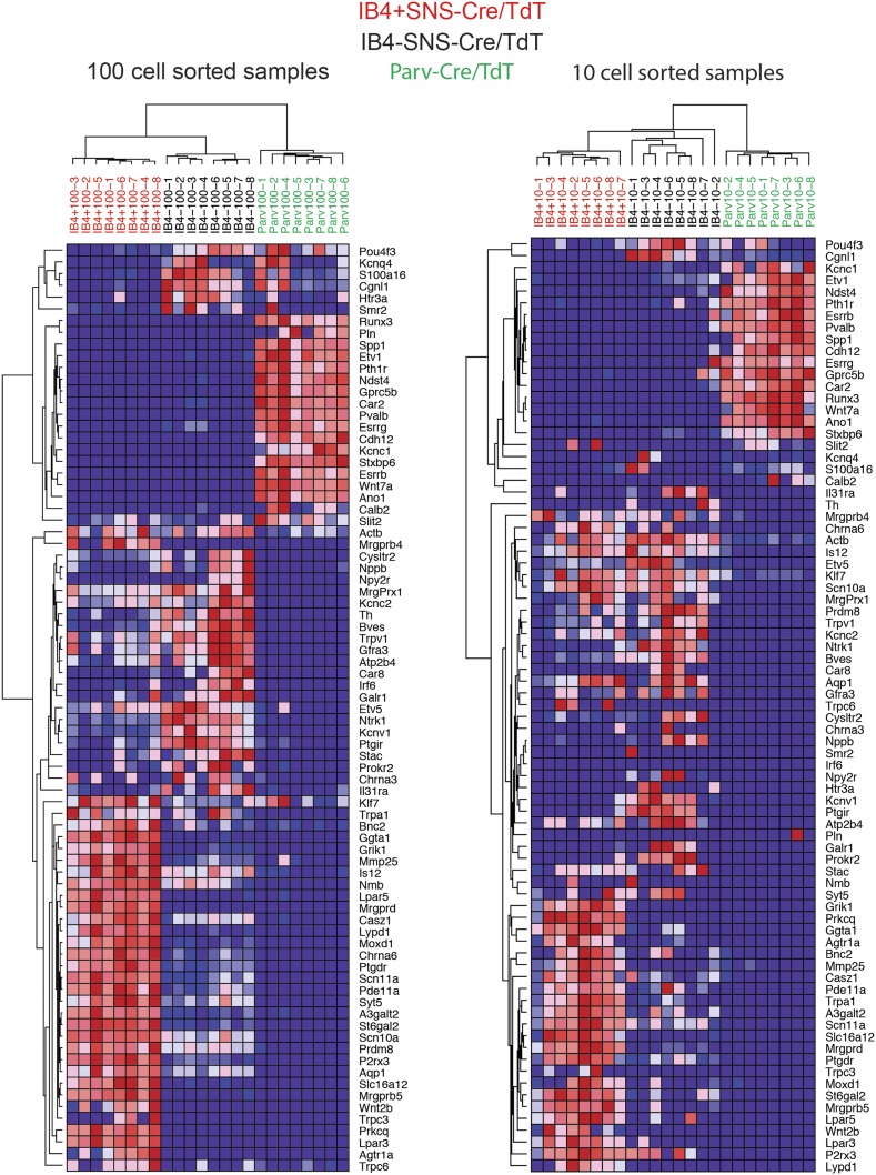 Figure 10—figure supplement 1.