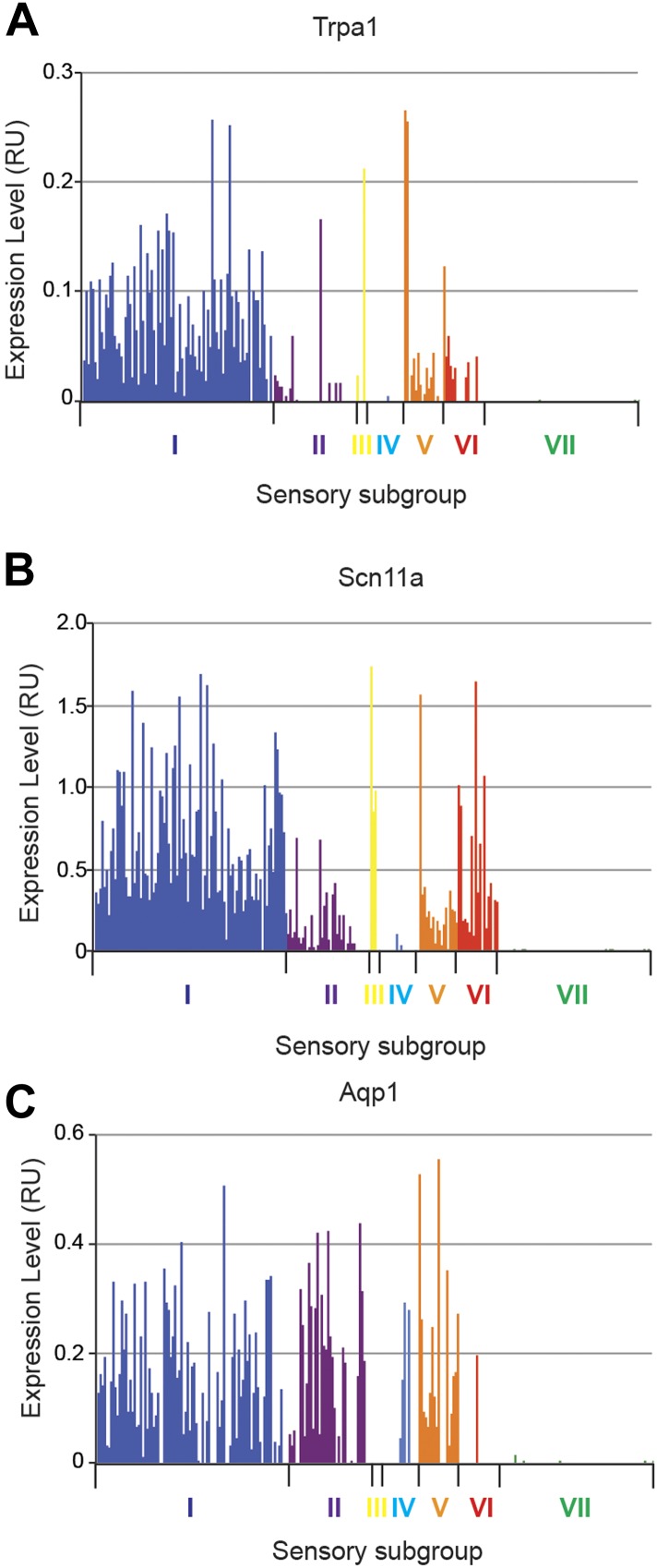 Figure 14—figure supplement 2.