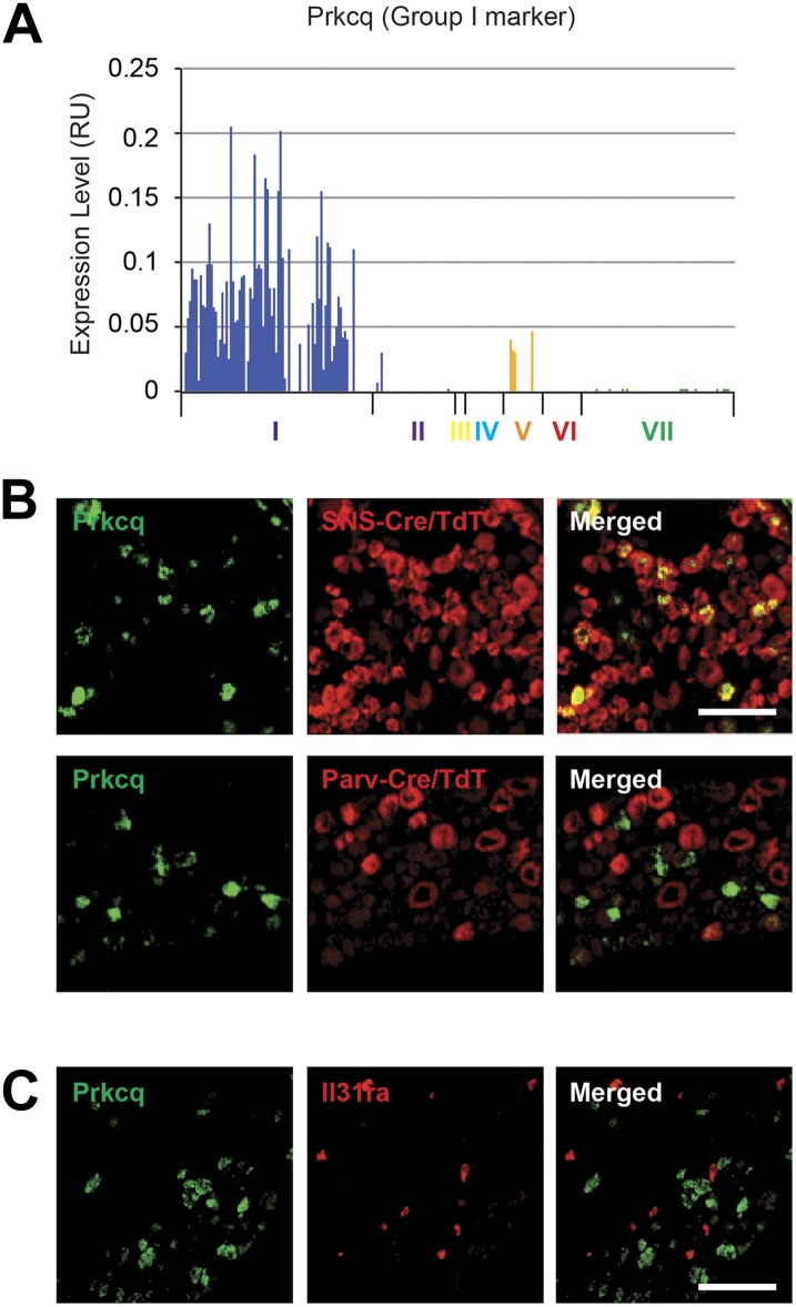 Figure 15—figure supplement 2.