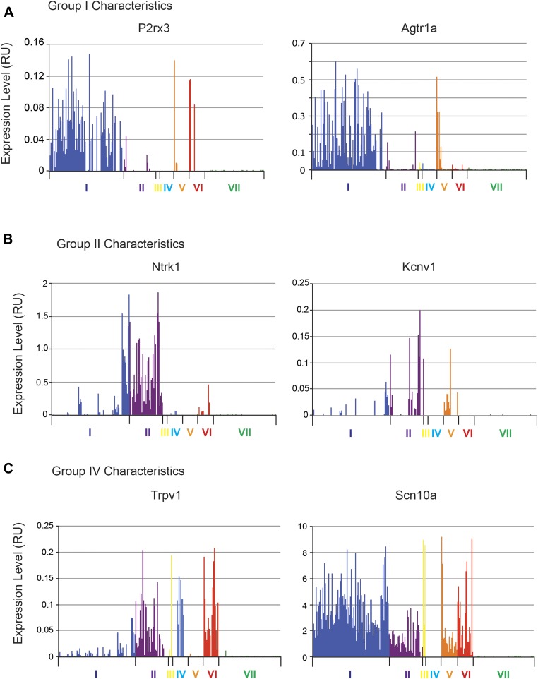 Figure 14—figure supplement 1.