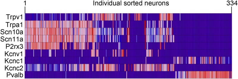 Figure 12—figure supplement 1.