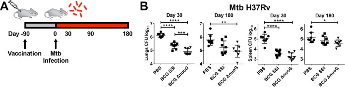 FIG 3 