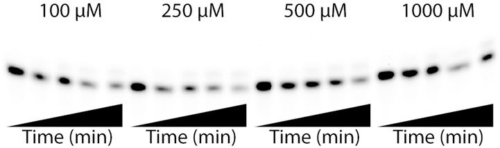 Figure 19.