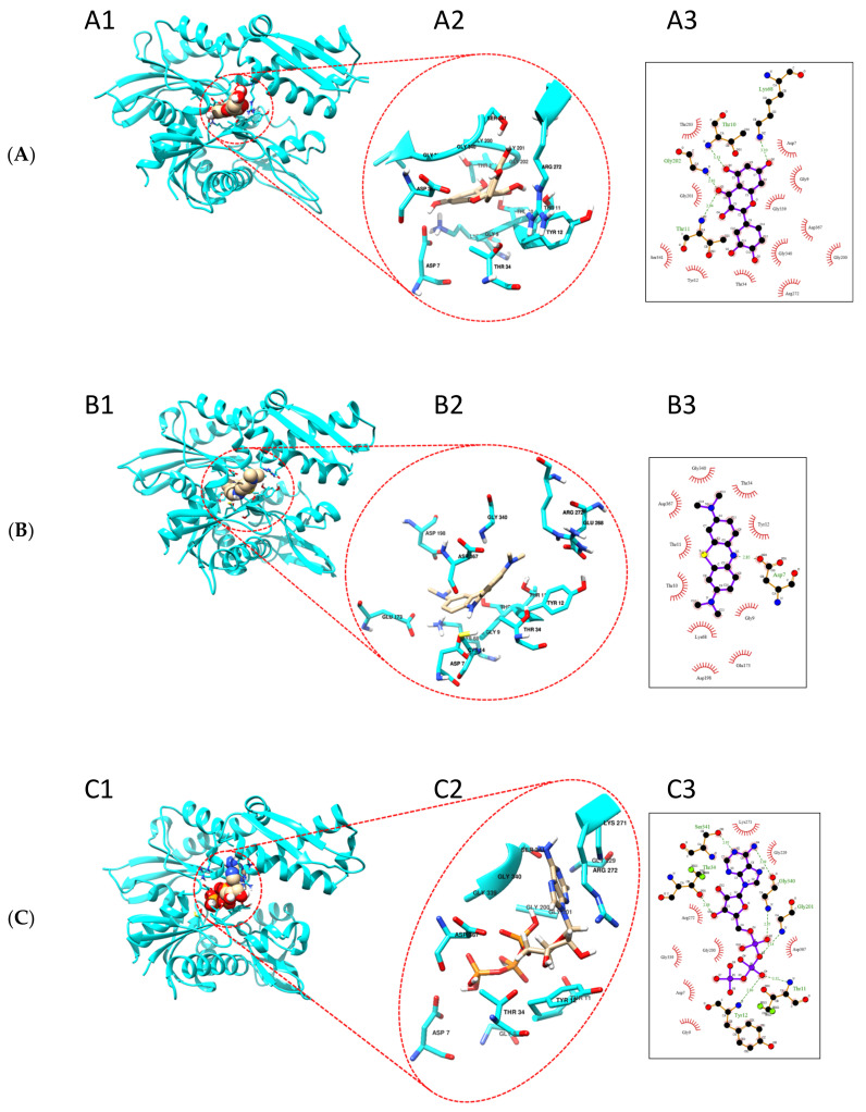 Figure 9