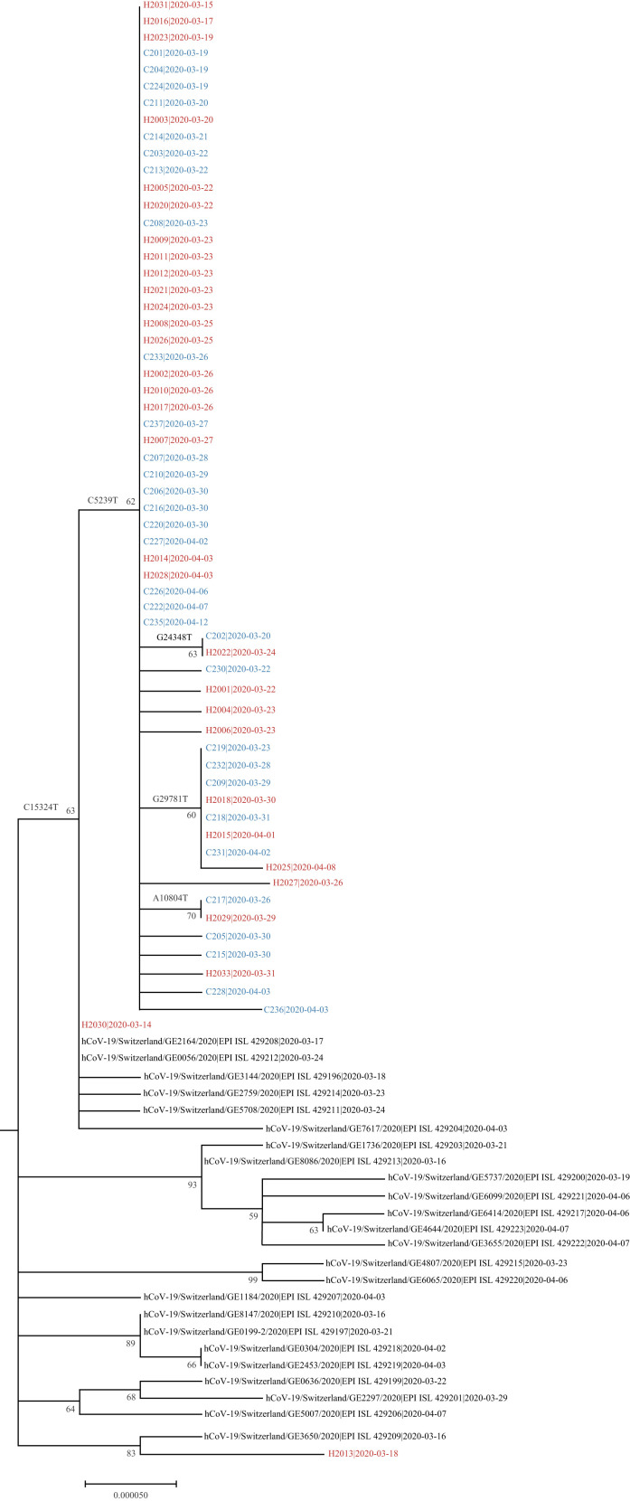 Figure 2