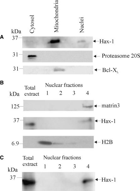 Figure 9.