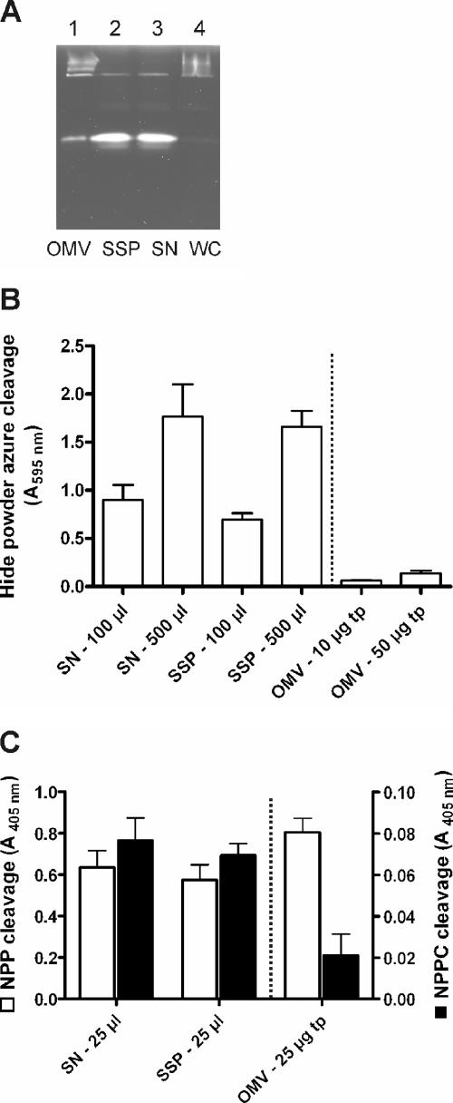 FIG. 3.