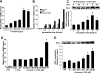 Fig. 9.