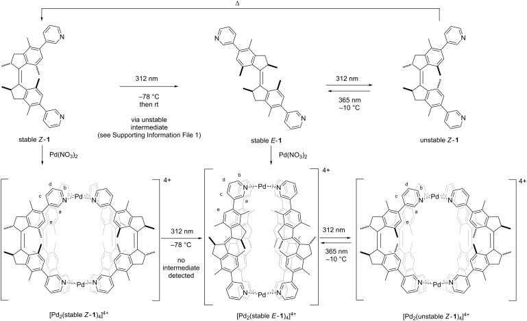 Scheme 1