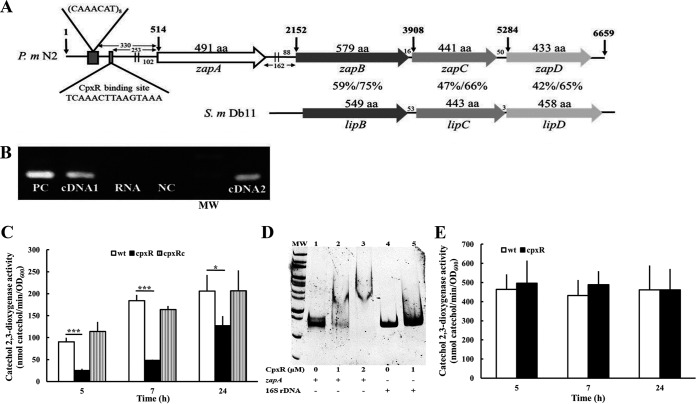 FIG 2