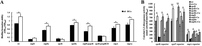 FIG 5