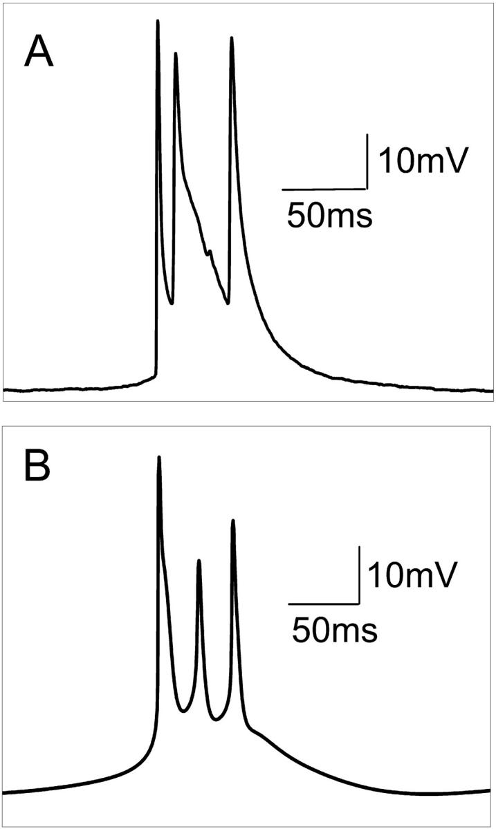 FIGURE 3