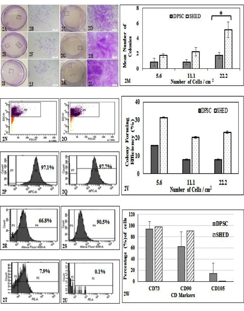 Fig.2