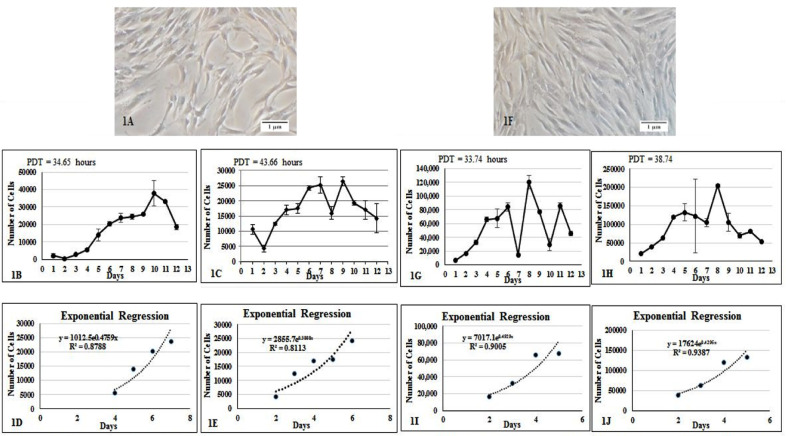 Fig.1