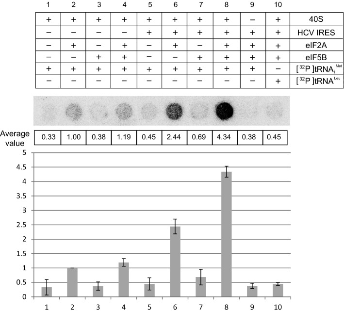 Fig. 4