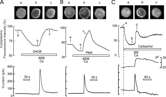 Figure 7.