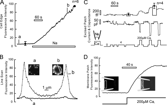 Figure 13.