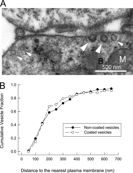 Figure 10.