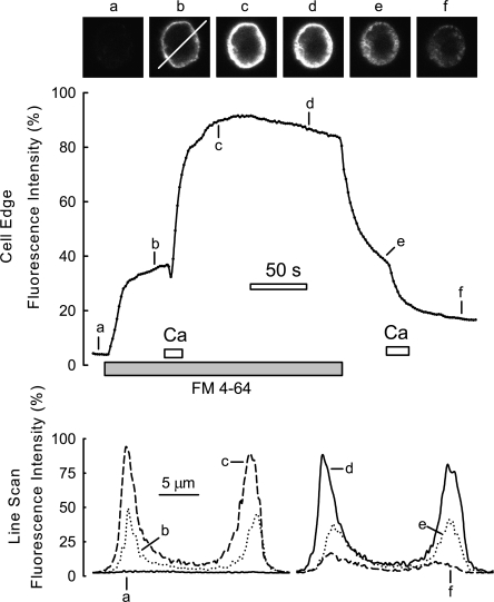 Figure 11.