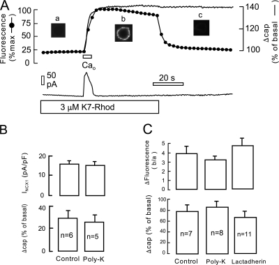 Figure 12.