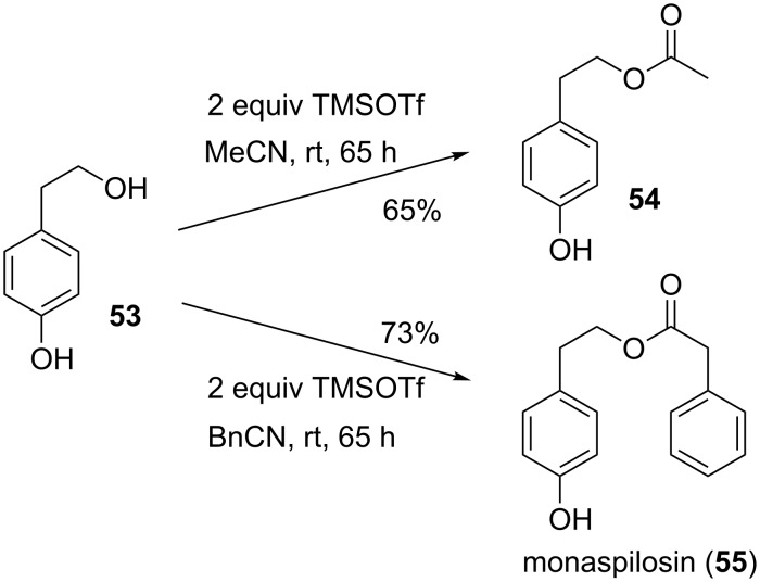 Scheme 6