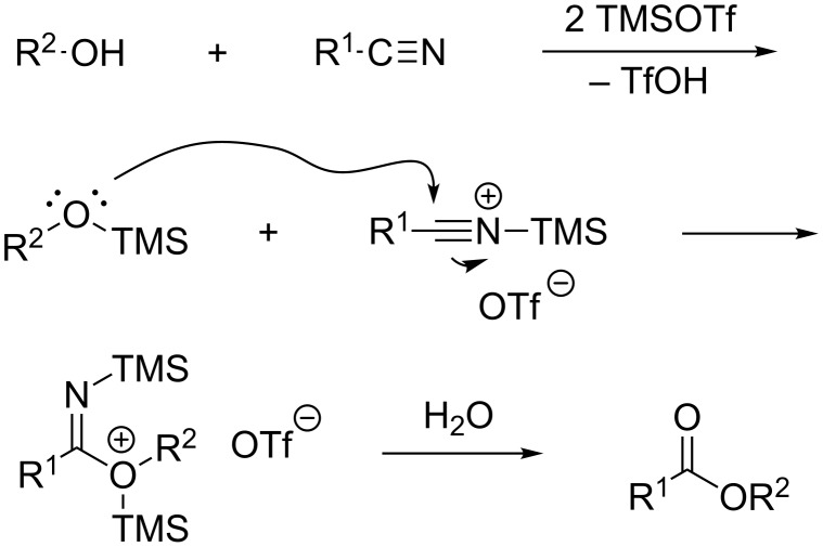 Scheme 5