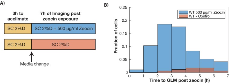 Figure 3—figure supplement 1.