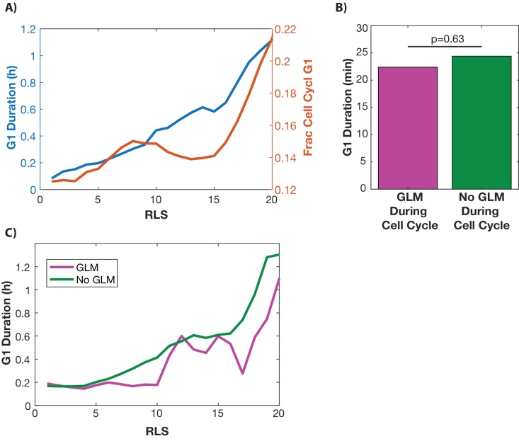 Figure 1—figure supplement 5.