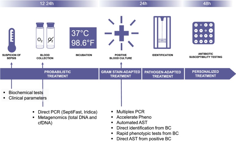 Fig. 2