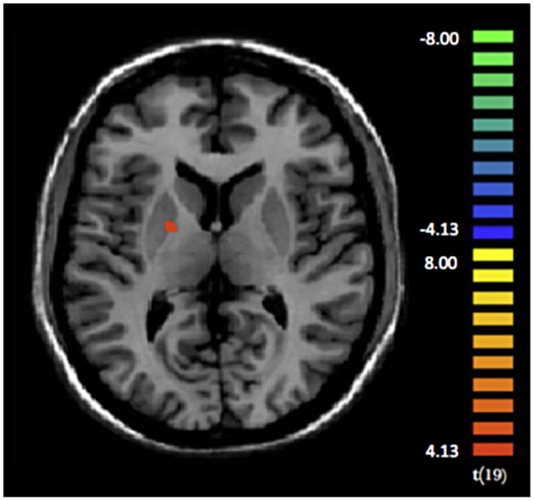 Fig. 6