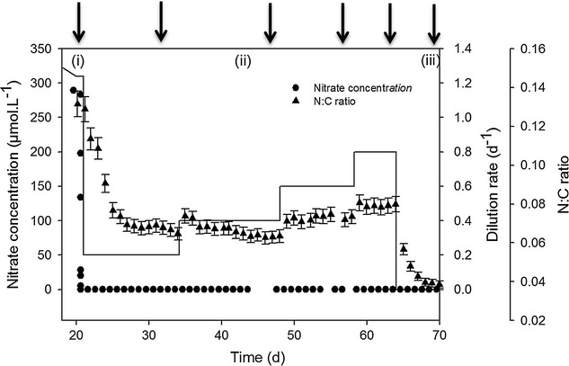 Fig. 1