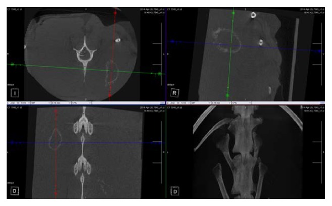 Figure 4